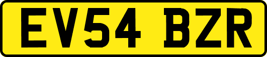 EV54BZR