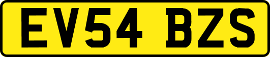 EV54BZS