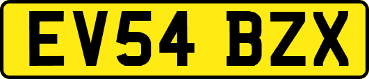 EV54BZX