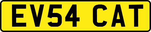 EV54CAT
