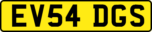 EV54DGS