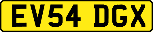 EV54DGX