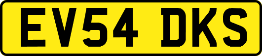 EV54DKS
