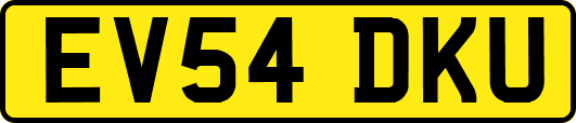 EV54DKU