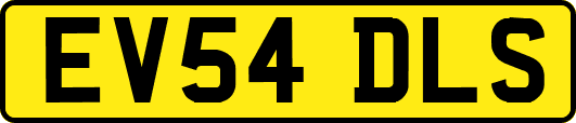 EV54DLS