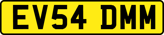 EV54DMM
