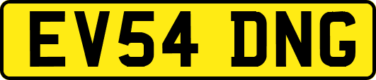 EV54DNG