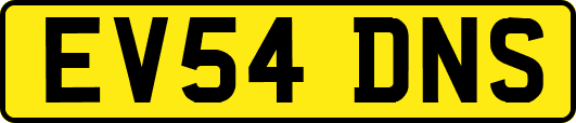 EV54DNS