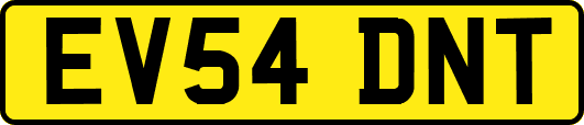 EV54DNT