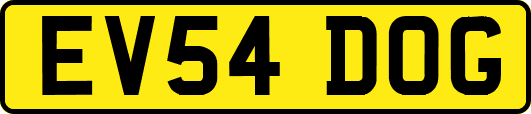 EV54DOG