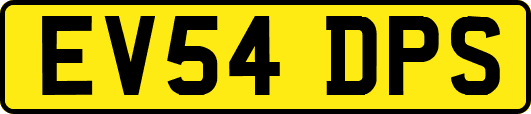 EV54DPS