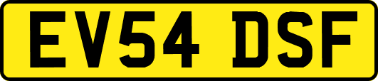 EV54DSF