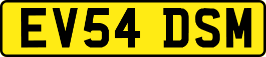 EV54DSM