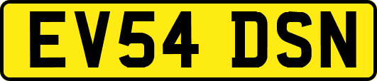 EV54DSN