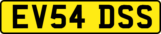 EV54DSS