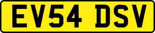 EV54DSV