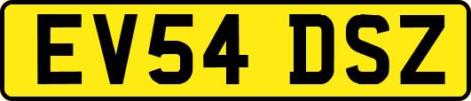 EV54DSZ