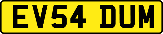 EV54DUM