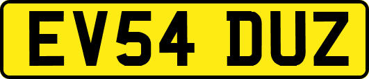 EV54DUZ