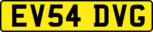 EV54DVG