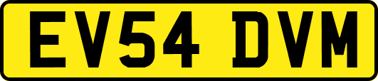 EV54DVM