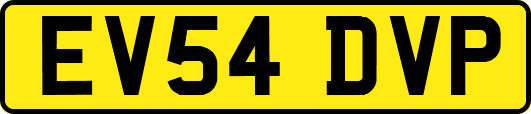 EV54DVP