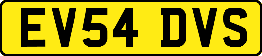 EV54DVS