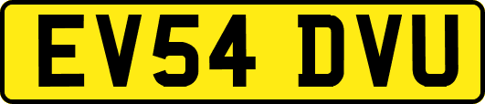 EV54DVU