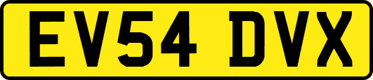 EV54DVX