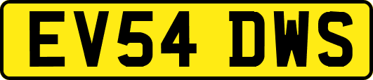 EV54DWS