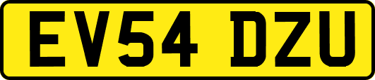 EV54DZU
