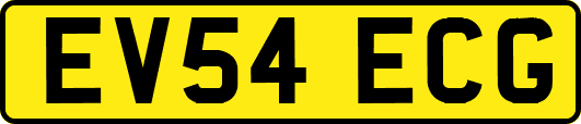EV54ECG