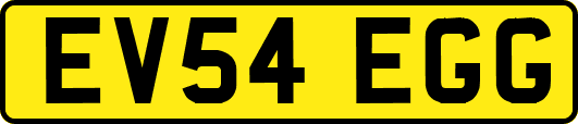 EV54EGG