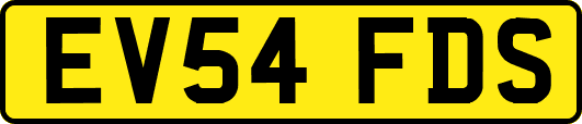 EV54FDS