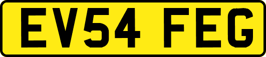 EV54FEG