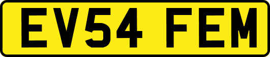 EV54FEM