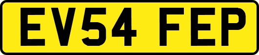EV54FEP