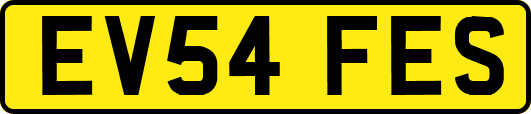 EV54FES