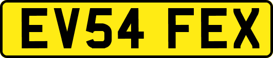 EV54FEX