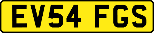 EV54FGS