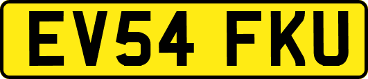 EV54FKU