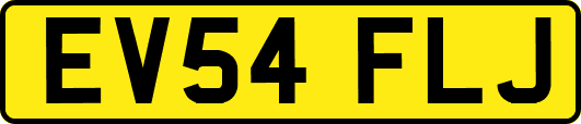 EV54FLJ