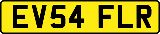 EV54FLR