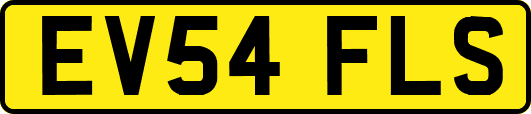 EV54FLS