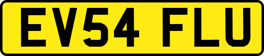 EV54FLU