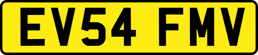 EV54FMV