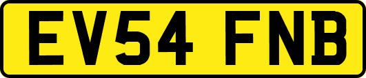 EV54FNB