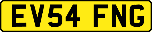 EV54FNG
