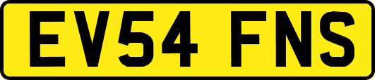 EV54FNS