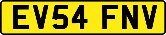 EV54FNV